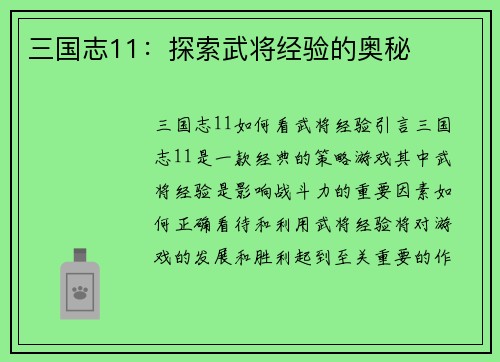 三国志11：探索武将经验的奥秘