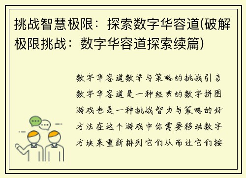 挑战智慧极限：探索数字华容道(破解极限挑战：数字华容道探索续篇)